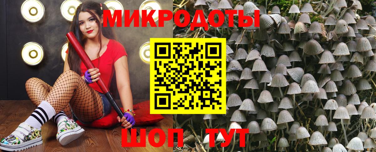 Псилоцибиновые грибы мухоморы Батайск