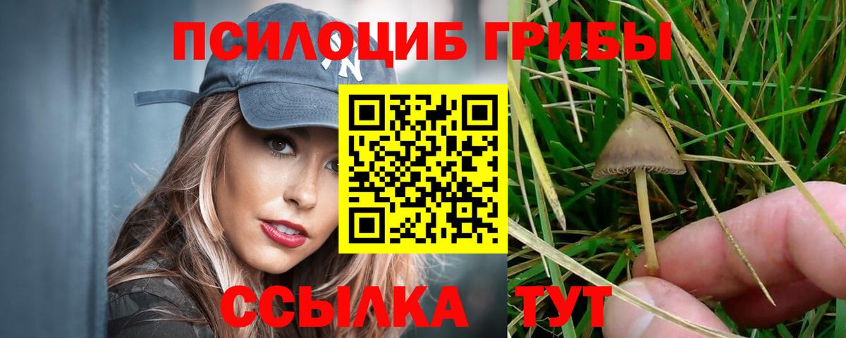 Батайск  Псилоцибиновые грибы Psilocybe  Вход с VPN  Галлюциногенные грибы Psilocybine cubensis 